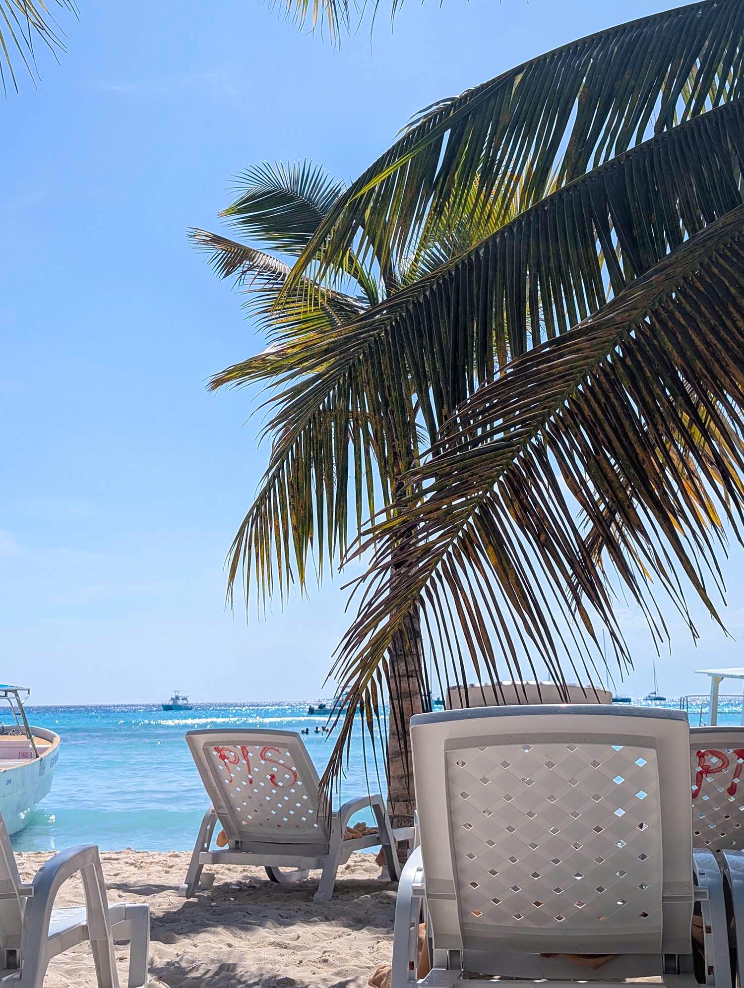 Saona Island