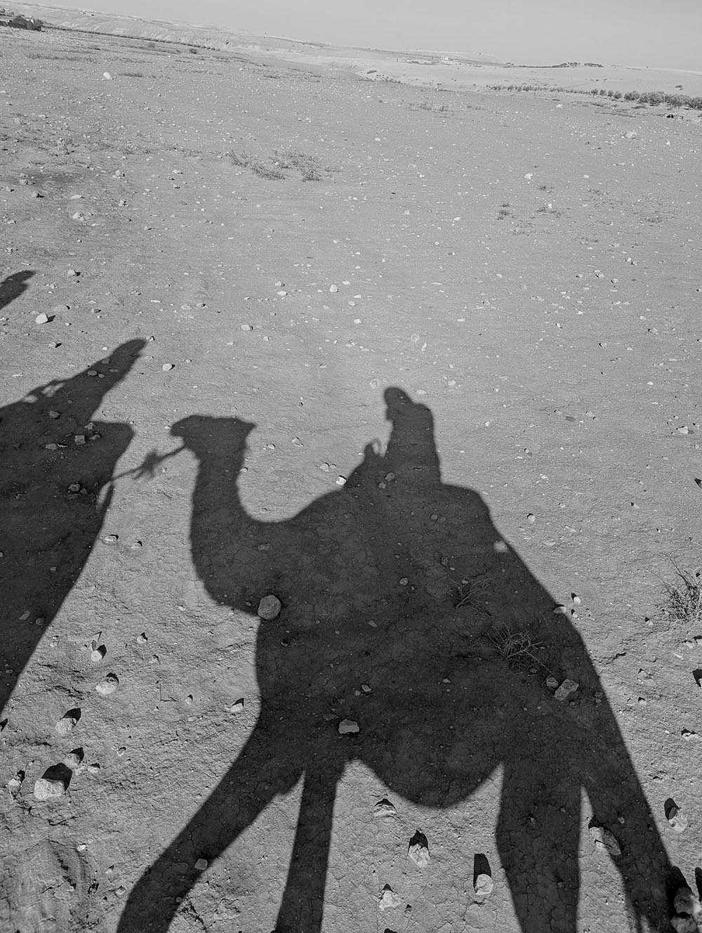 Shadows on the Sand