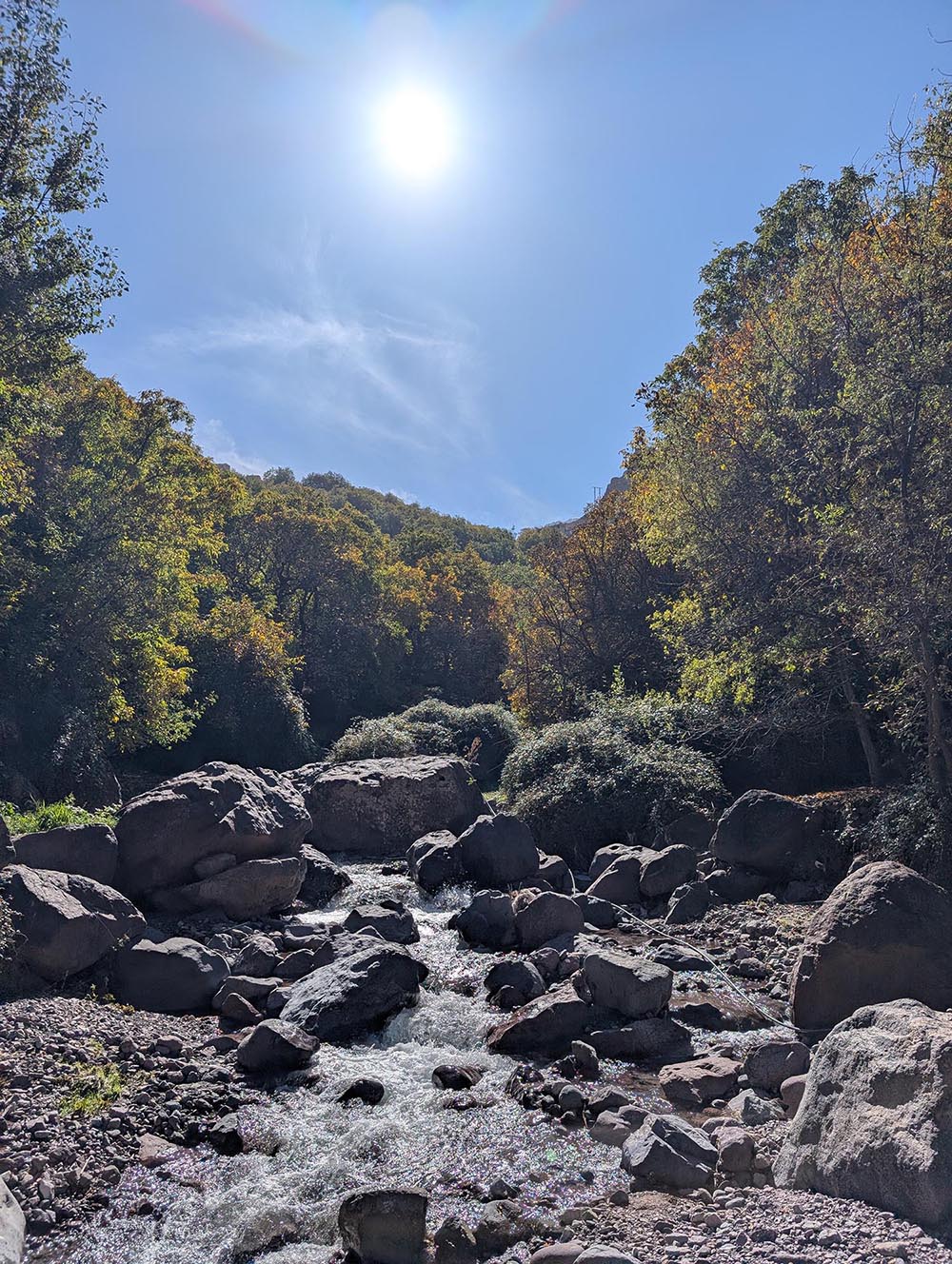 Nature Trail