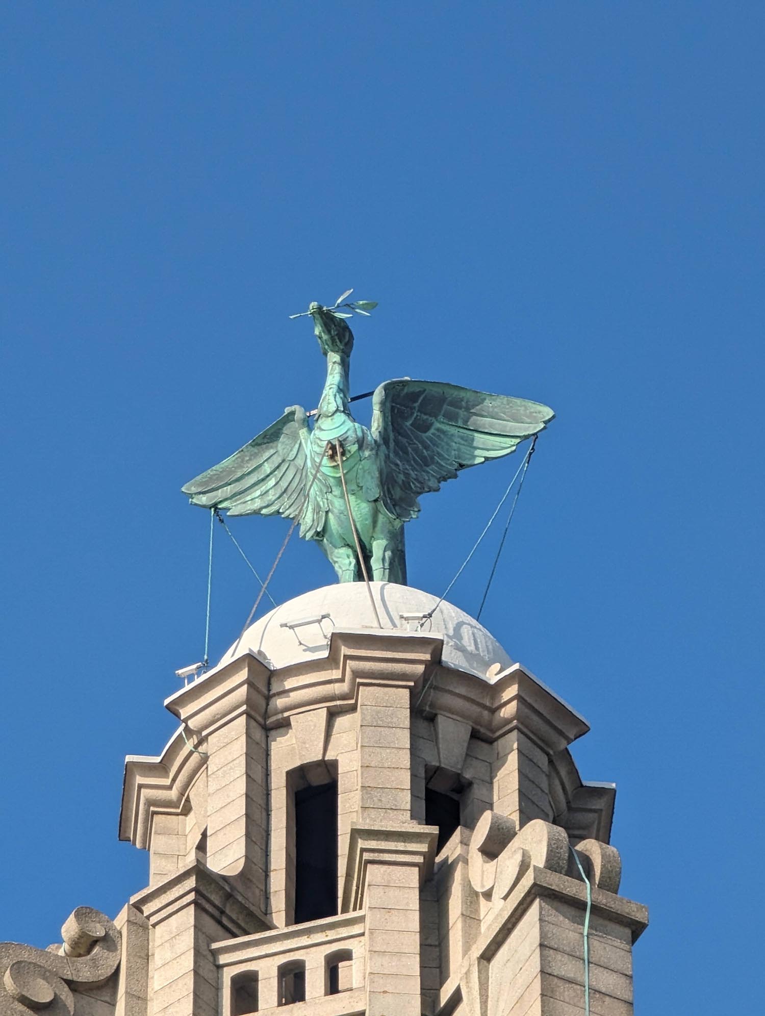 The Liverbird